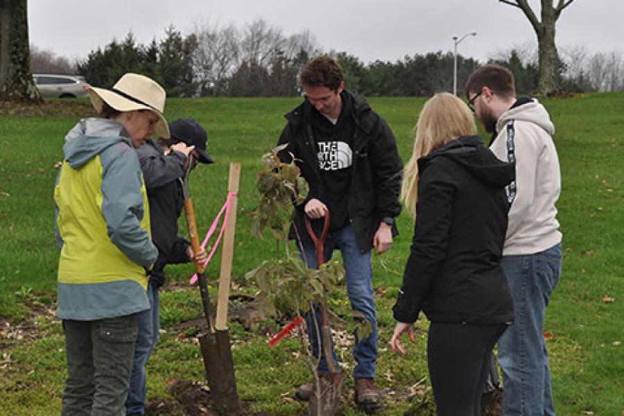 Planting the dogwood on the Salem Campus