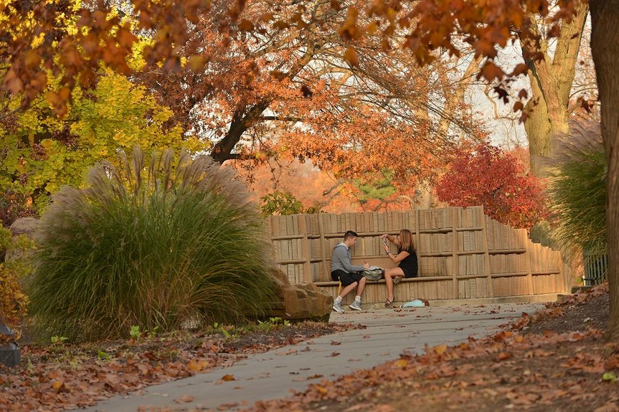 Two Kent State University students sit beneath the trees at the Behind the Brain Plaza along Terrace Drive on the Kent Campus.