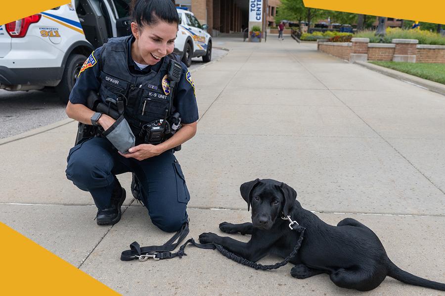 Meet Kent State Police Department’s newest K-9 officer, Salem, three-month-old Labrador Retriever and Sgt. Anne Spahr. 