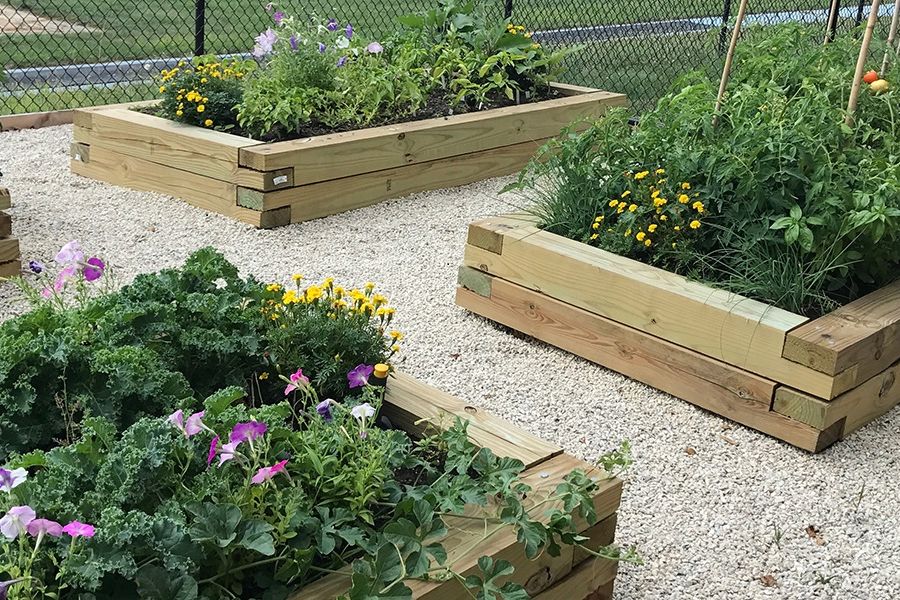 DeWeese Health Center created a community garden focused on growing fresh produce, learning best-practice gardening techniques and managing stress through connection with nature.