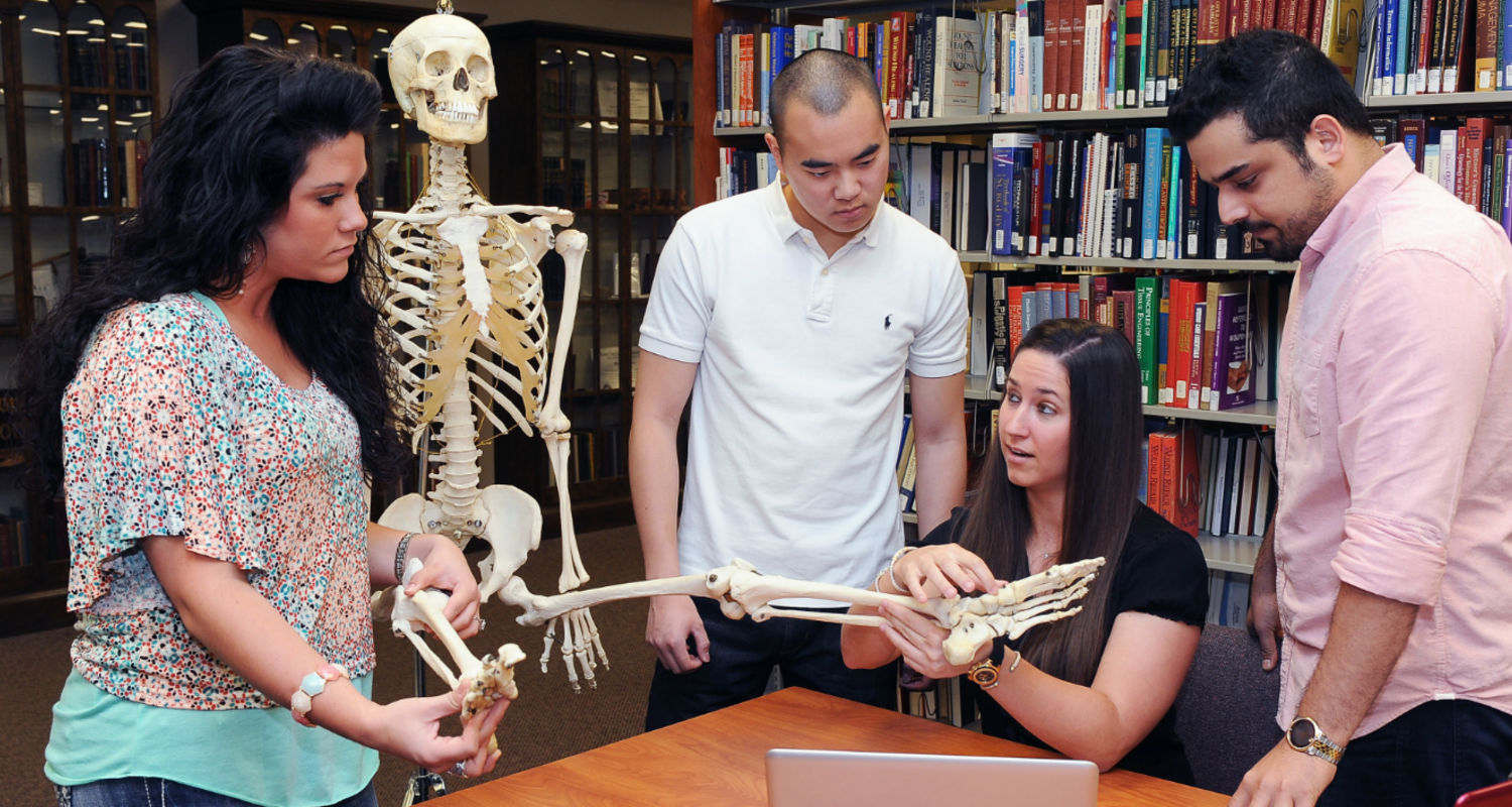 Students at the College of Podiatric Medicine learn about anatomy in the library at the college.