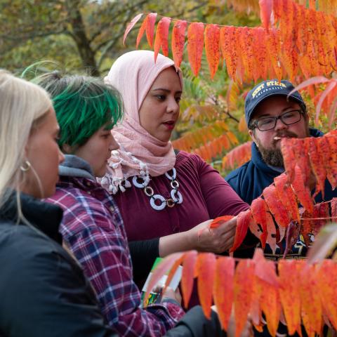 Students in the Horticulture Technology program at Kent State's Salem Campus get real experience "in the field."