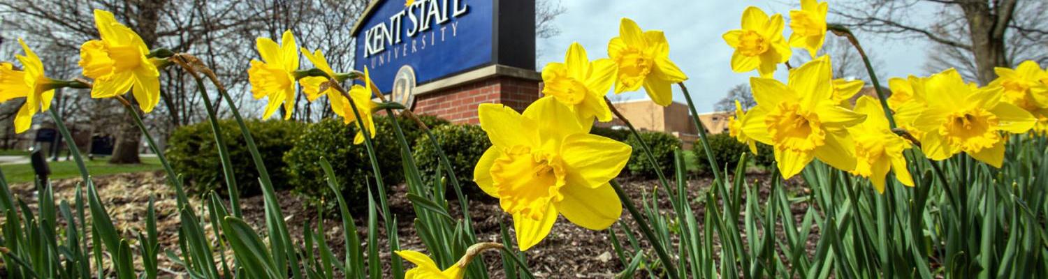 Kent State sign with daffodils