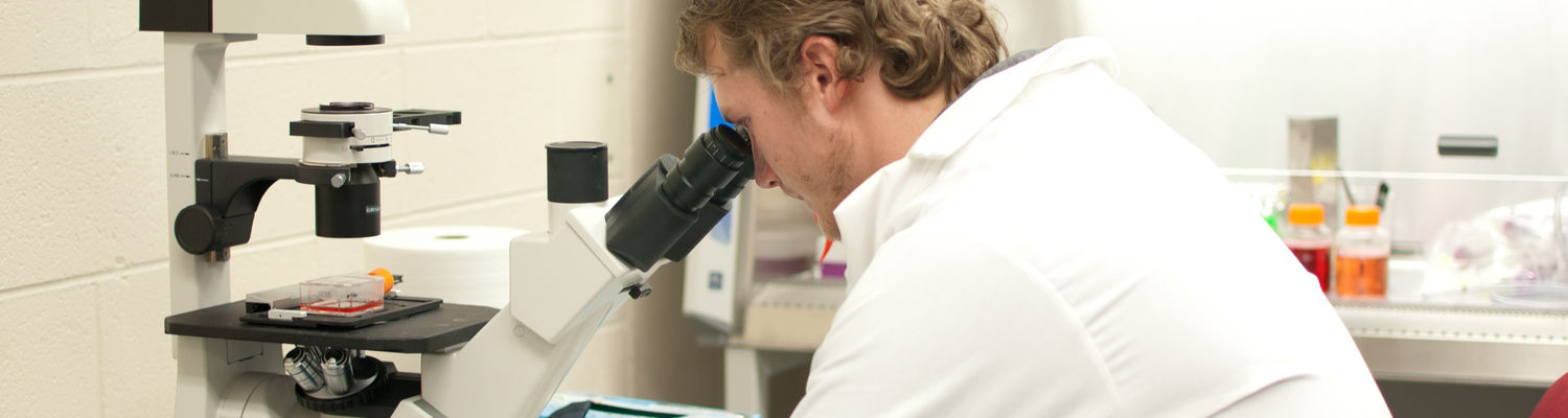 An undergraduate student uses a microscope in a laboratory.