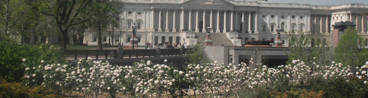 US Capitol Building in Bloom