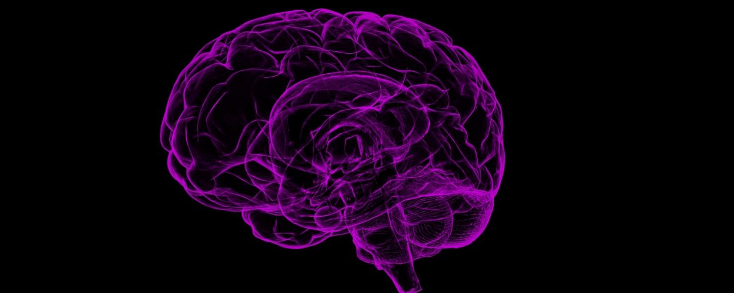 An image of a purple line drawing of a brain on a black background