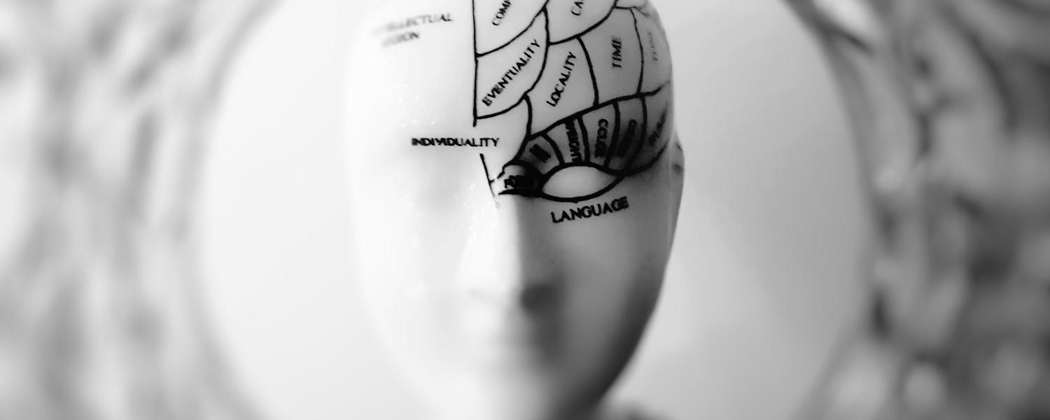 Out of focus image of a mannequin head with the parts of the brain drawn on it