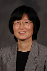 Yin Zhang, Ph.D.