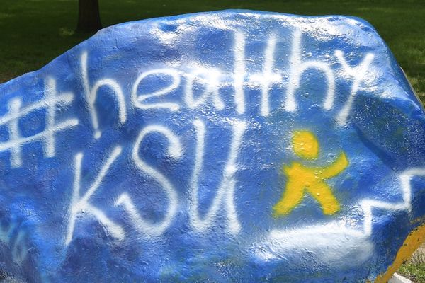 the rock painted with #healthyksu