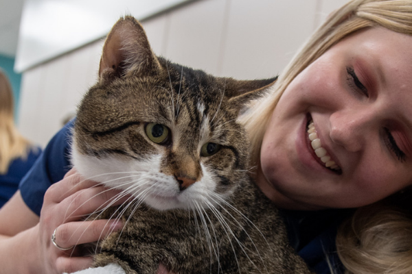 Veterinary Technology student holds a cat