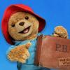 Paddington the Bear with a suitcase