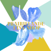 PrairieLande Logo